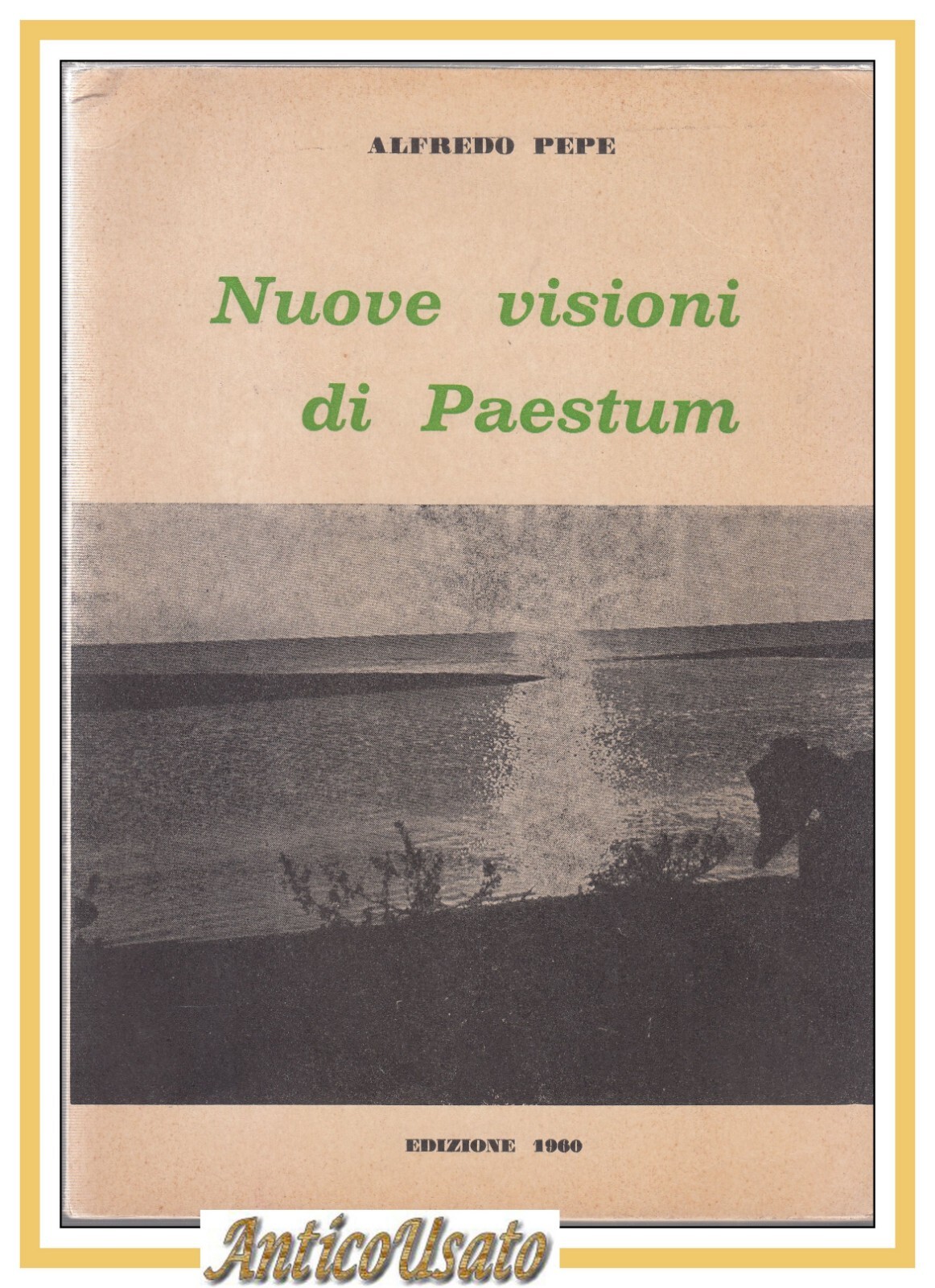NUOVE VISIONI DI PAESTUM Alfredo Pepe 1960 Libro rivista pensiero …