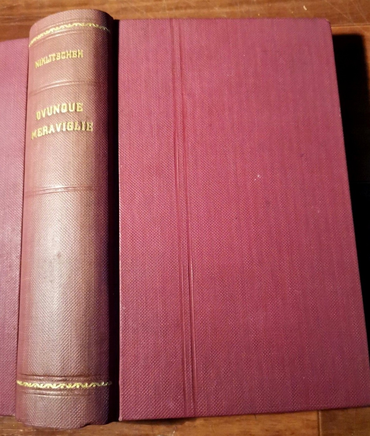 OVUNQUE MERAVIGLIE L'ignoto nel noto di Alessandro Niklitschek Garzanti libro