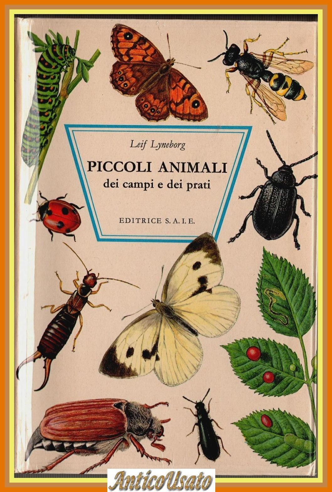PICCOLI ANIMALI DEI CAMPI E DEI PRATI di Leif Lyneborg …