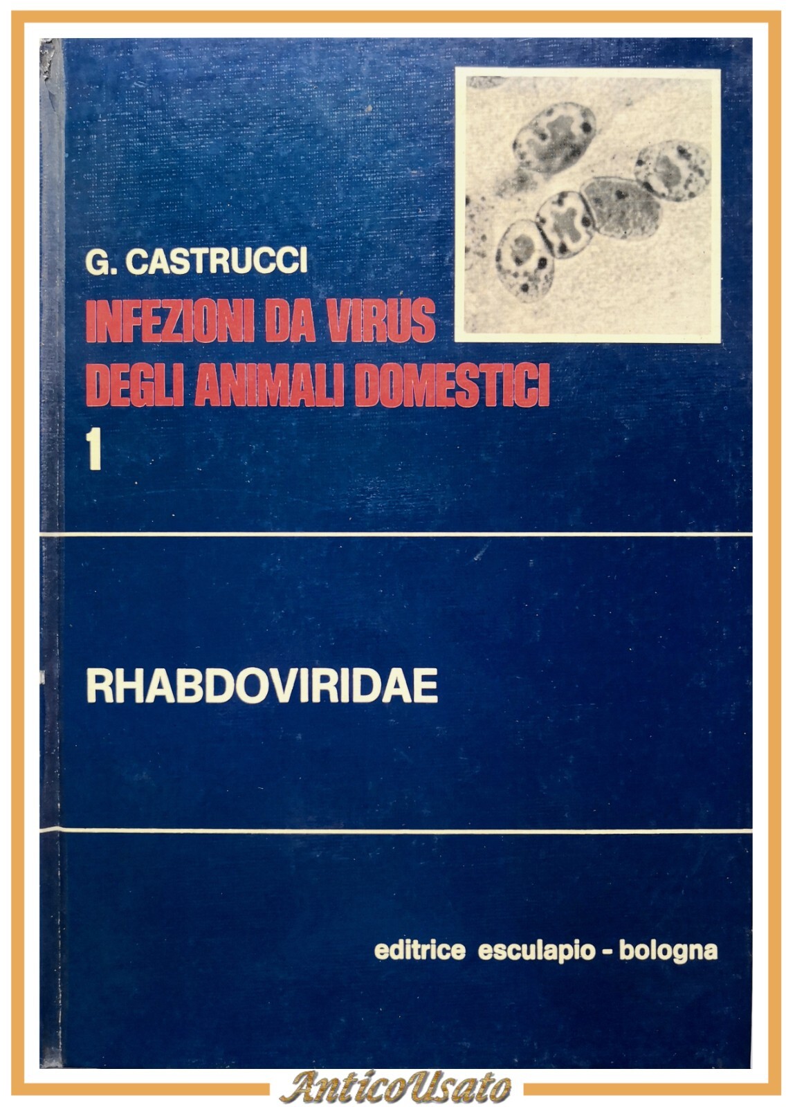 RHABDOVIRIDAE di Castrucci INFEZIONI DA VIRUS DEGLI ANIMALI DOMESTICI 1978 …