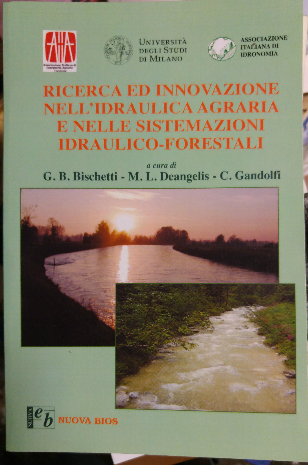 RICERCA E INNOVAZIONE NELL'IDRAULICA AGRARIA E SISTEMAZIONI FORESTALI libro 2008