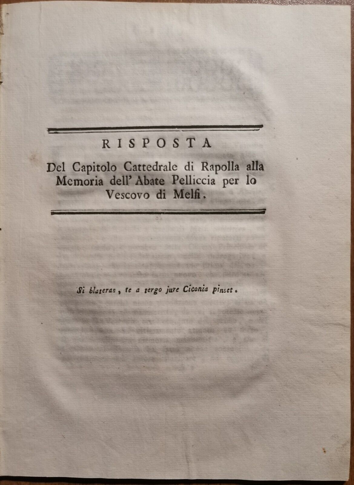 RISPOSTA DEL CAPITOLO CATTEDRALE DI RAPOLLA AL VESCOVO MELFI 1803 …