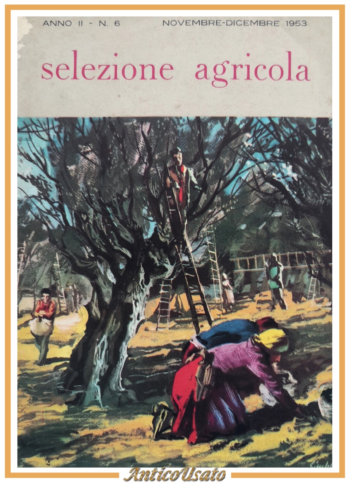 SELEZIONE AGRICOLA anno 2 Numero 6 novembre dicembre 1953 Tipografia …