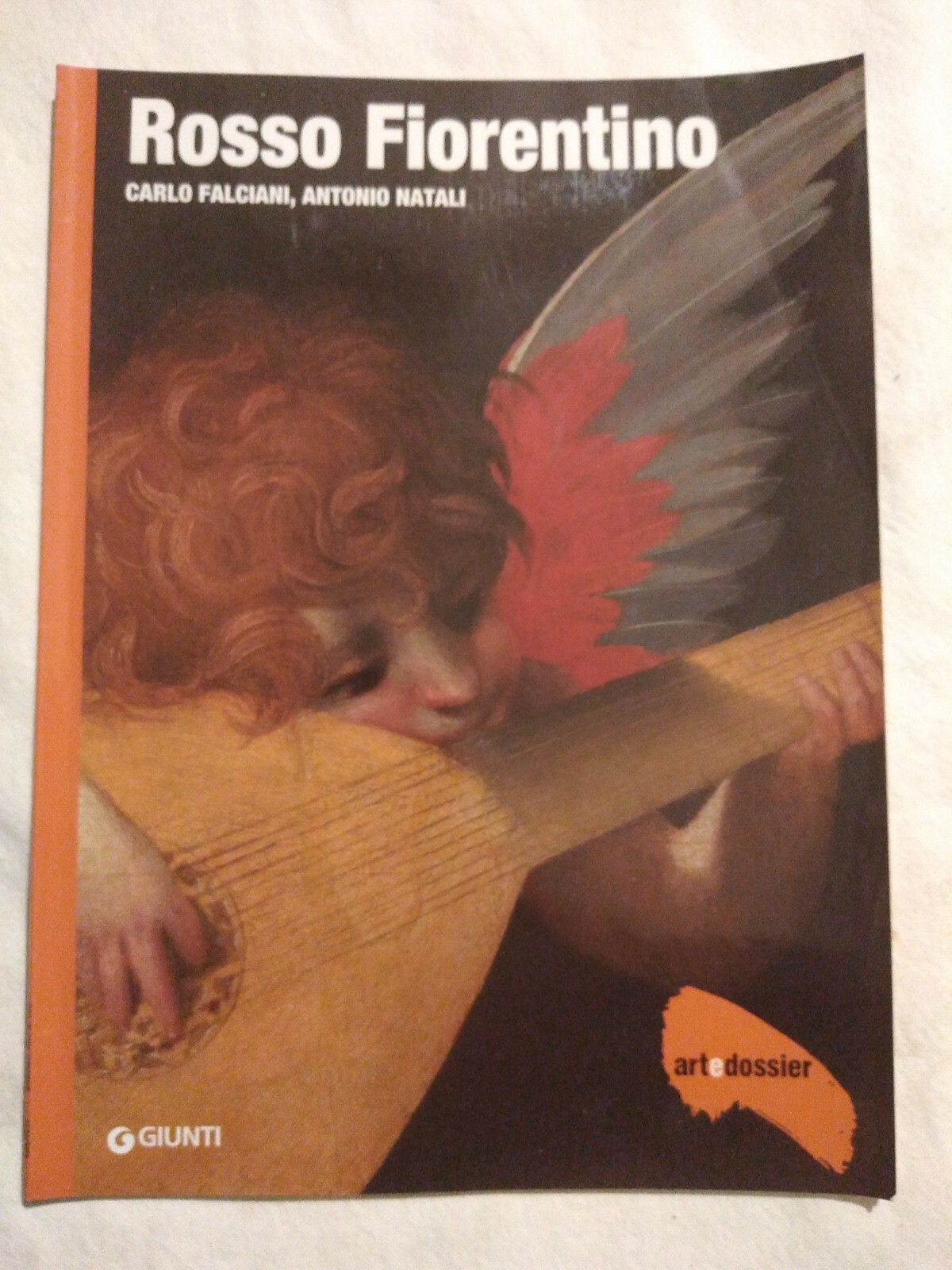 Tardo Impero Pittura olandese Ottocento italiano Rosso Fiorentino Monografia su