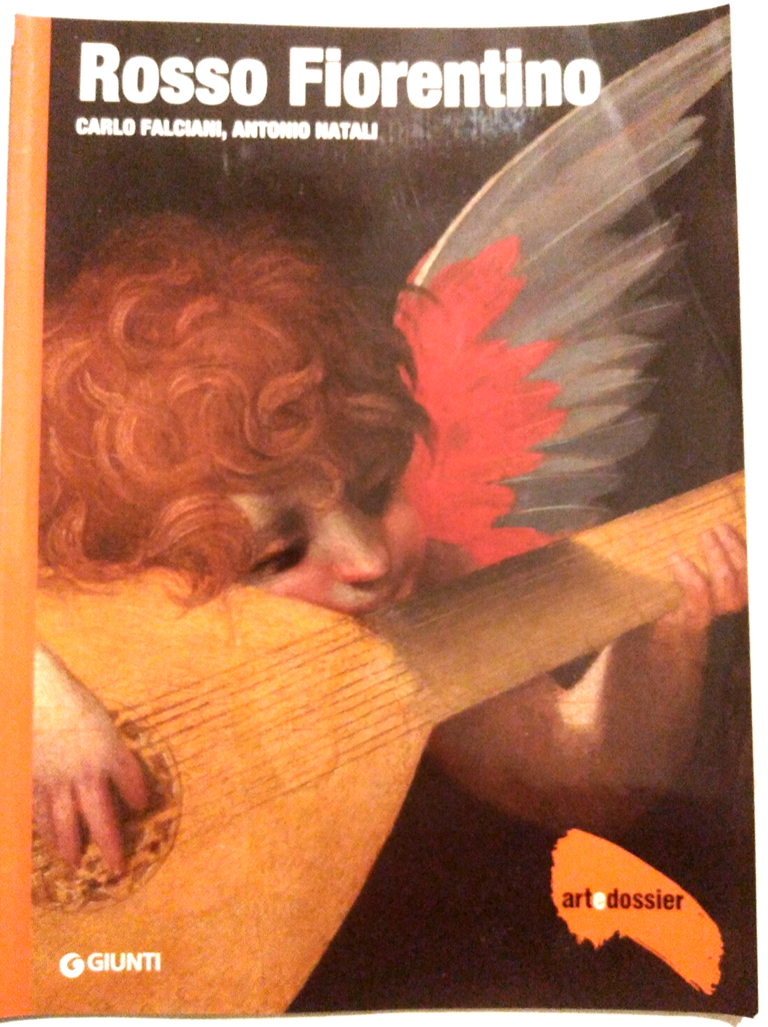 TARDO IMPERO PITTURA OLANDESE OTTOCENTO ITALIANO ROSSO FIORENTINO Monografia su