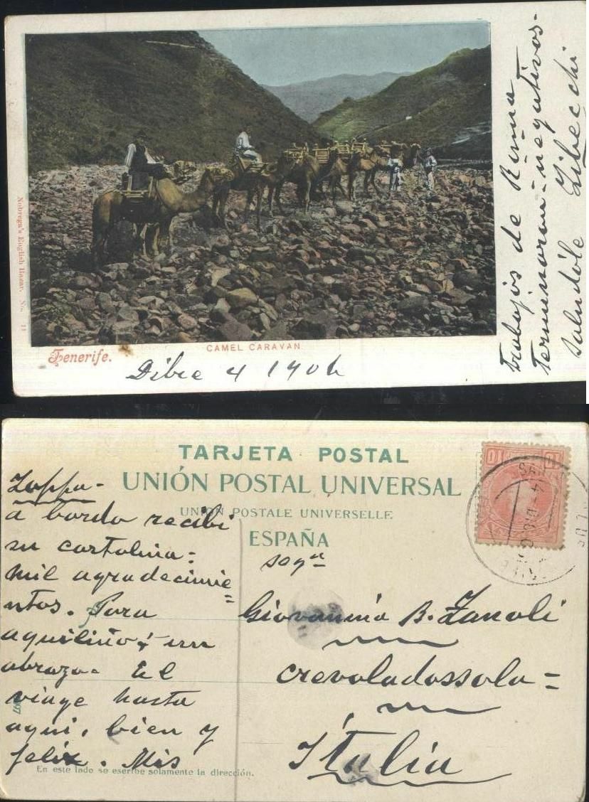 TENERIFE CAMEL CARAVAN cartolina viaggiata 14/12/1904 postcard tarjeta Vintage