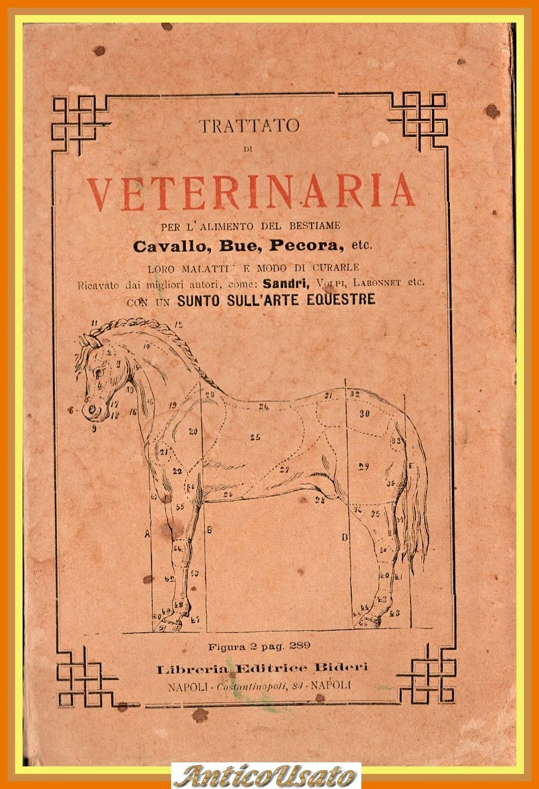 TRATTATO DI VETERINARIA E SUNTO SULL'ARTE EQUESTRE 1898 Bideri Libro …