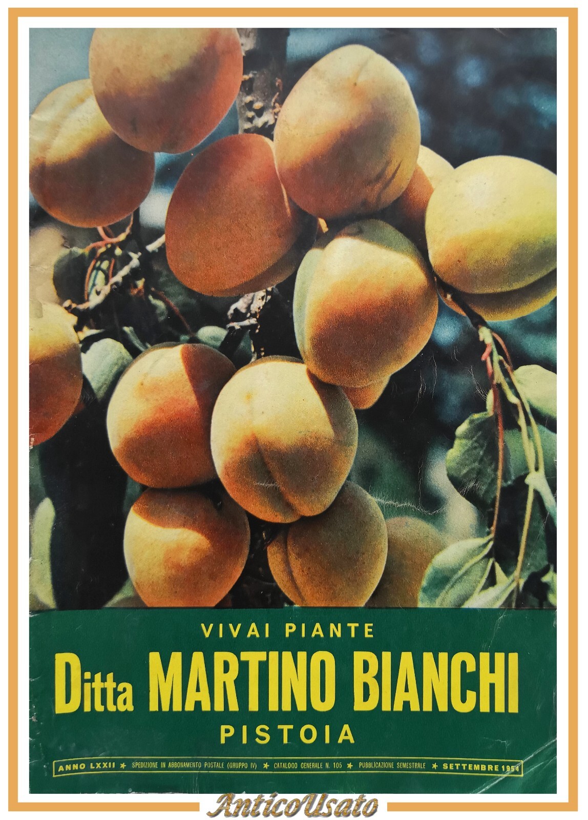 VIVAI PIANTE DITTA MARTINO BIANCHI catalogo Numero 105 settembre 1954 …