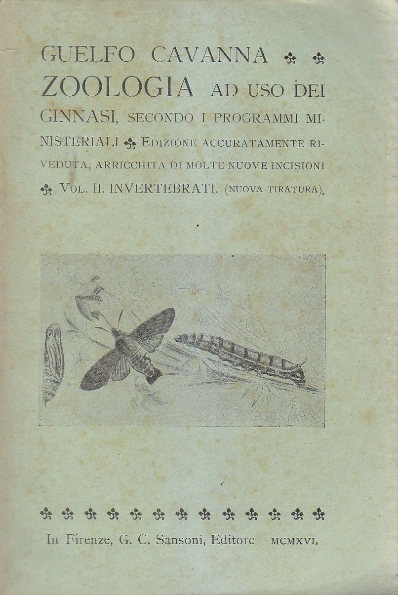 Zoologia volume II invertebrati di Guelfo Cavanna 1916 Sansoni Editore …