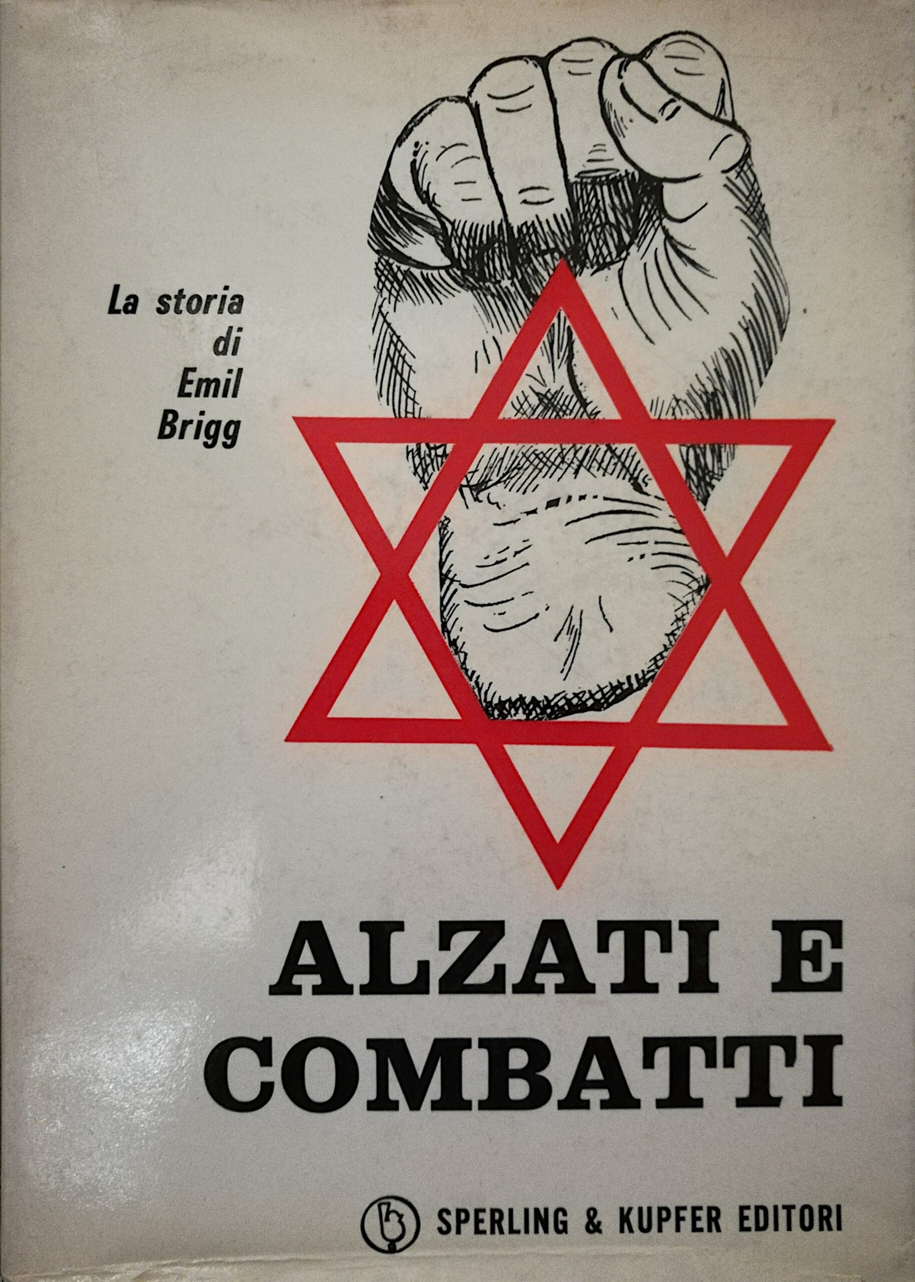 Alzati e combatti - La storia di Emil Brigg