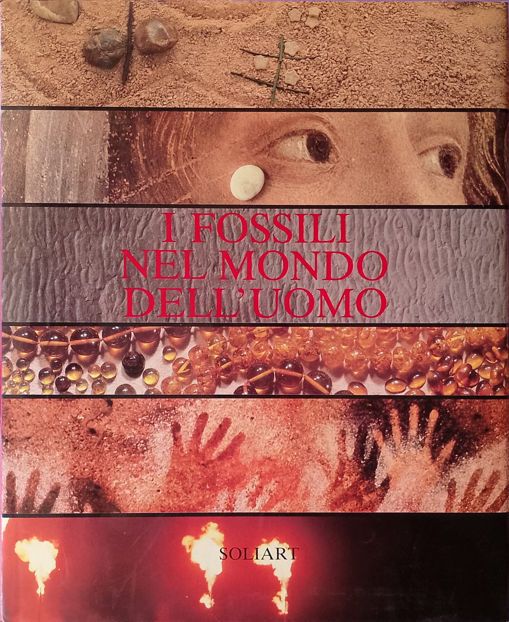 I fossili nel mondo dell’uomo