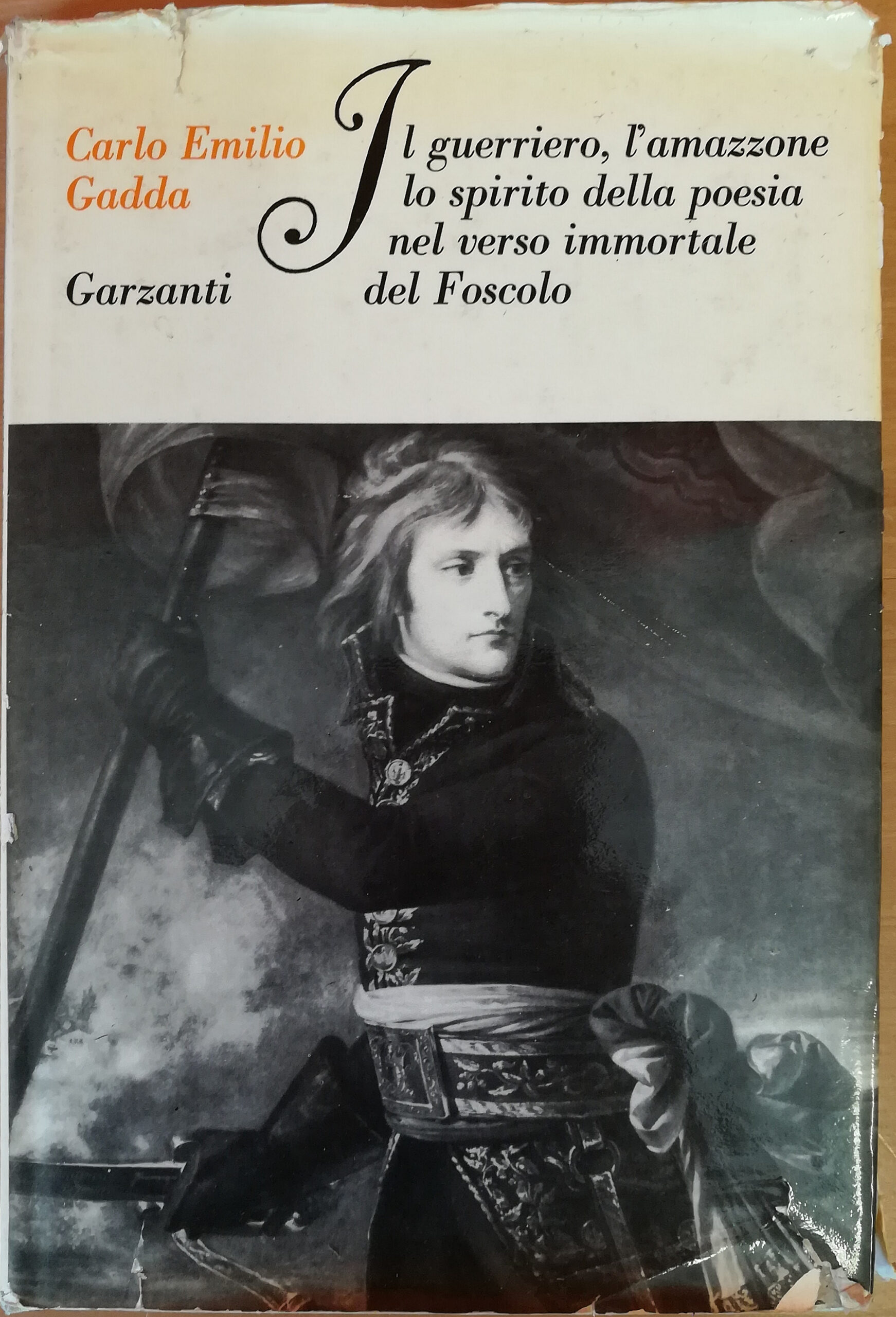 Il guerriero, l'amazzone, lo spirito della poesia nel verso immortale …