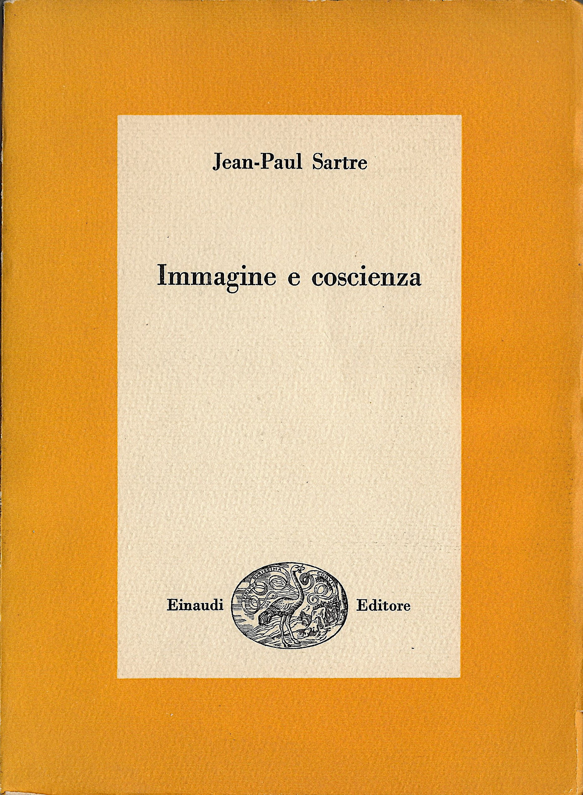 Immagine e coscienza