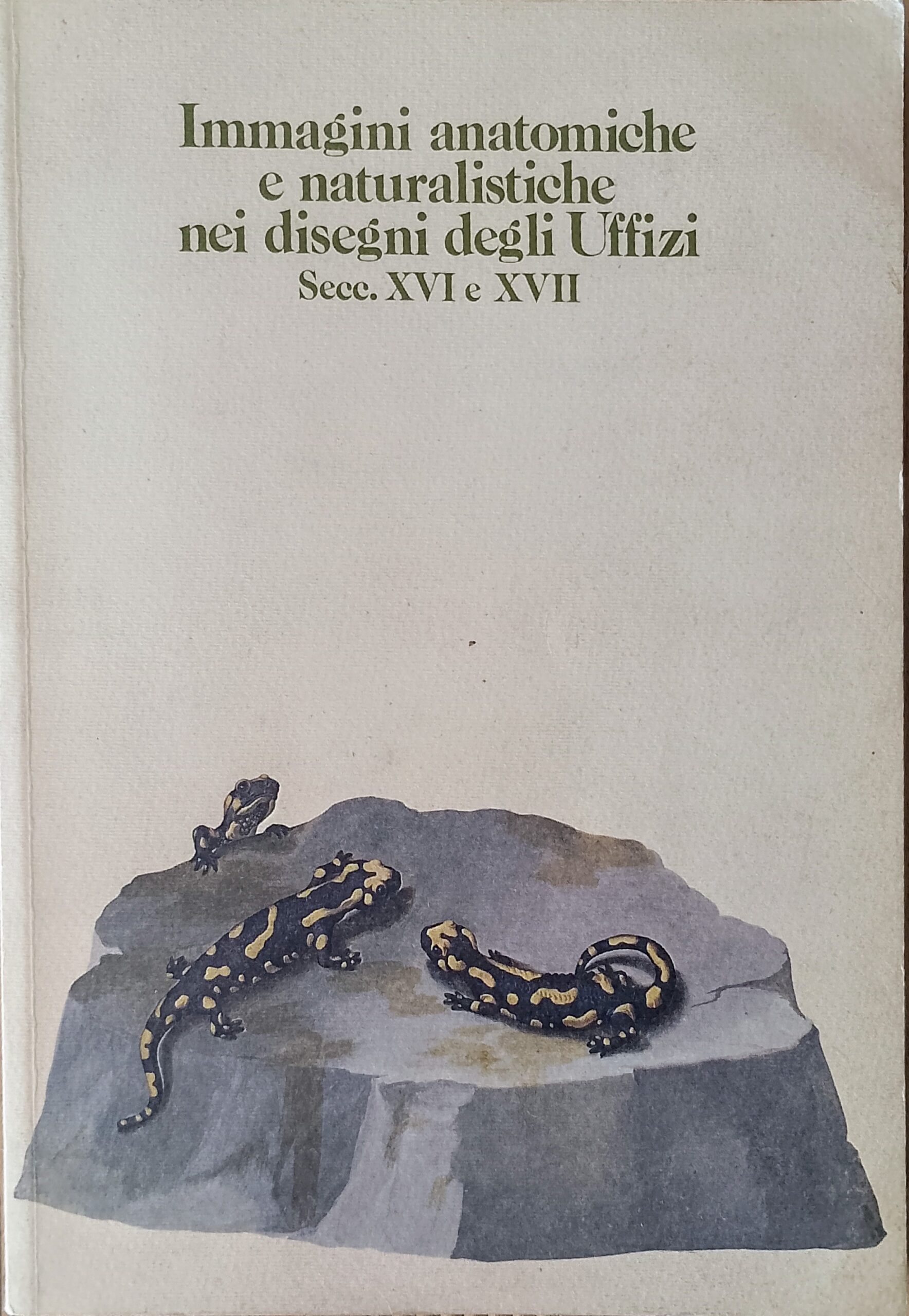 Immagini anatomiche e naturalistiche nei disegni degli Uffizi Secc. XVI …