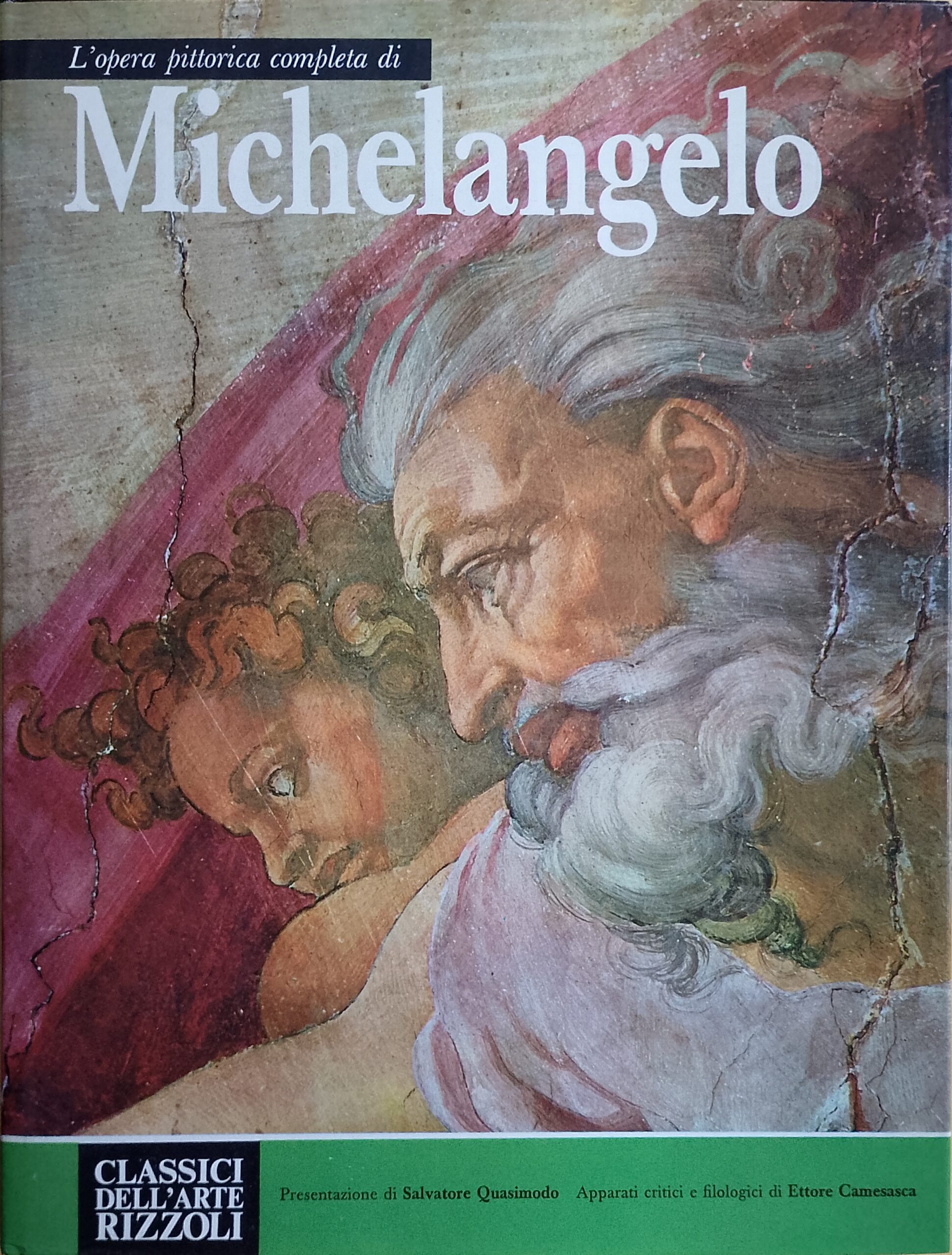L'opera completa di Michelangelo pittore