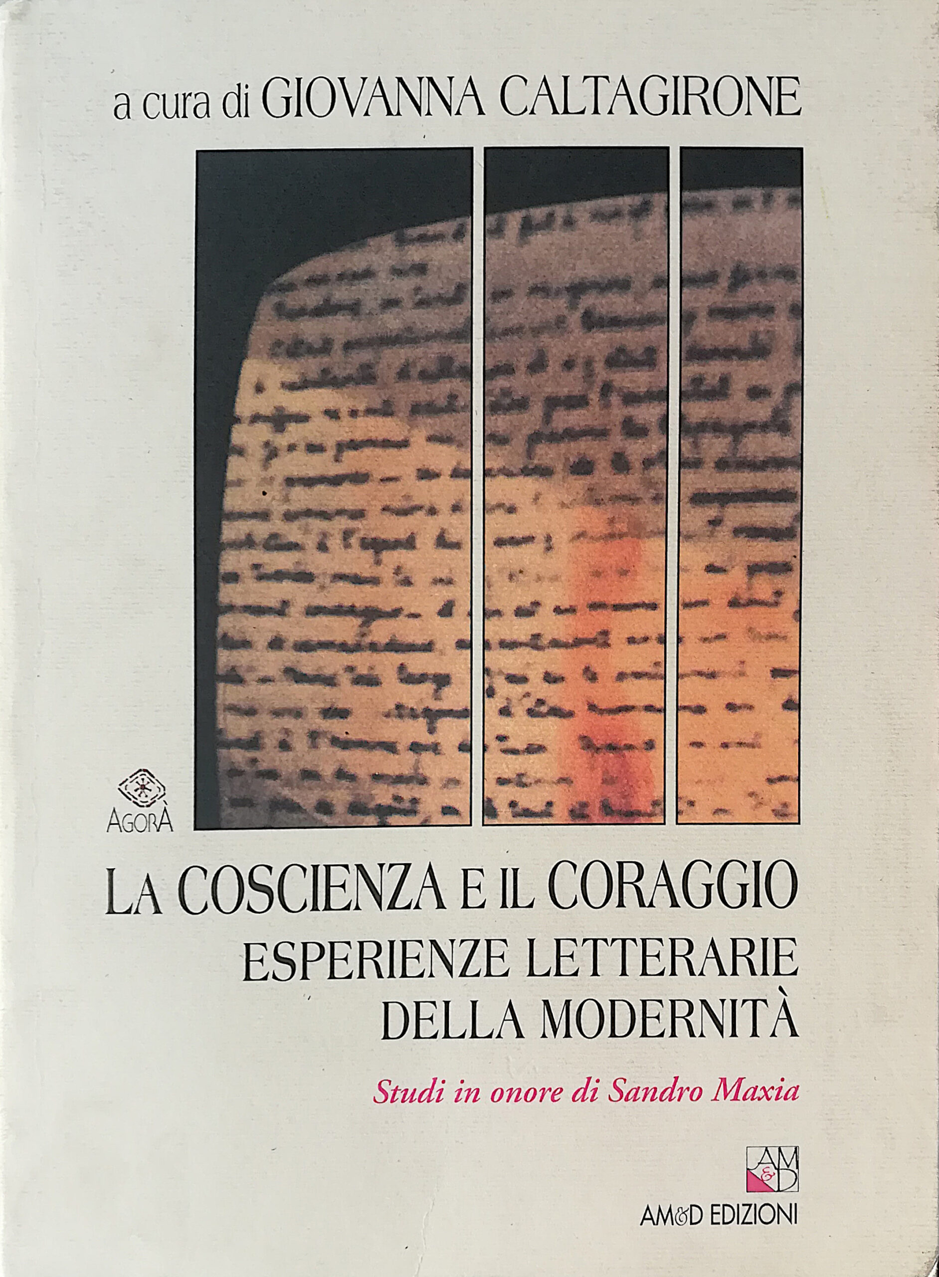 La coscienza e il coraggio - Esperienze letterarie della modernità