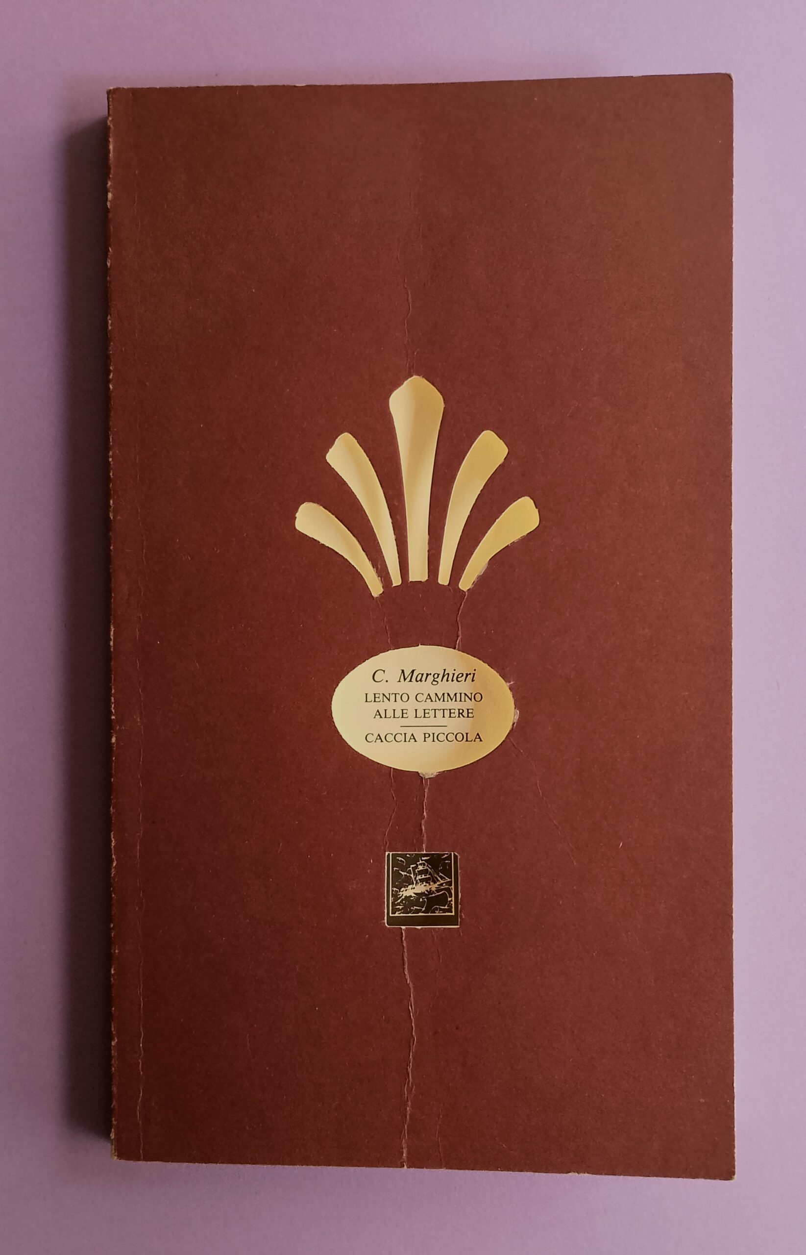 Lento cammino alle lettere - Caccia piccola