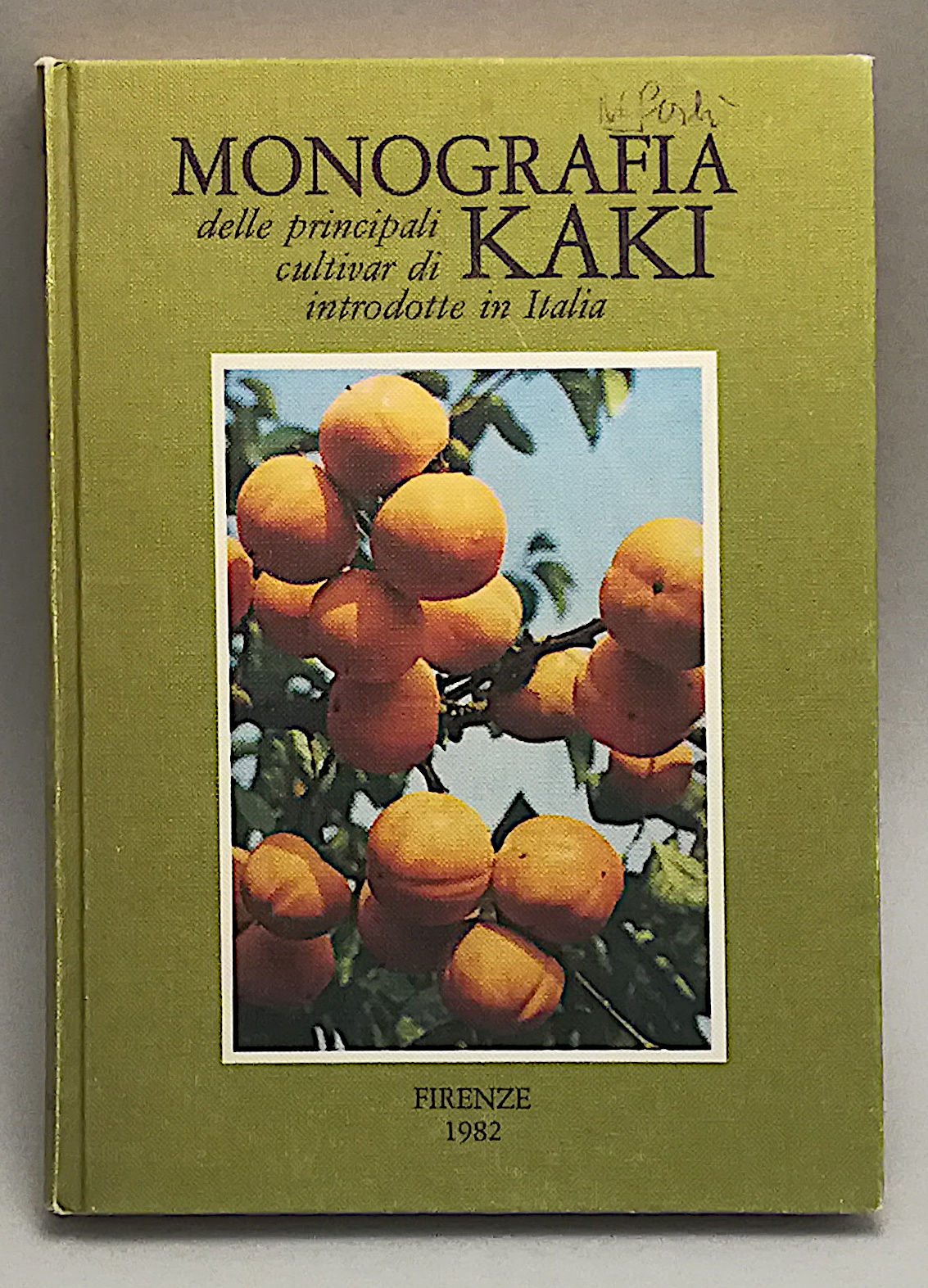 Monografia delle principali cultivar di kaki introdotte in Italia