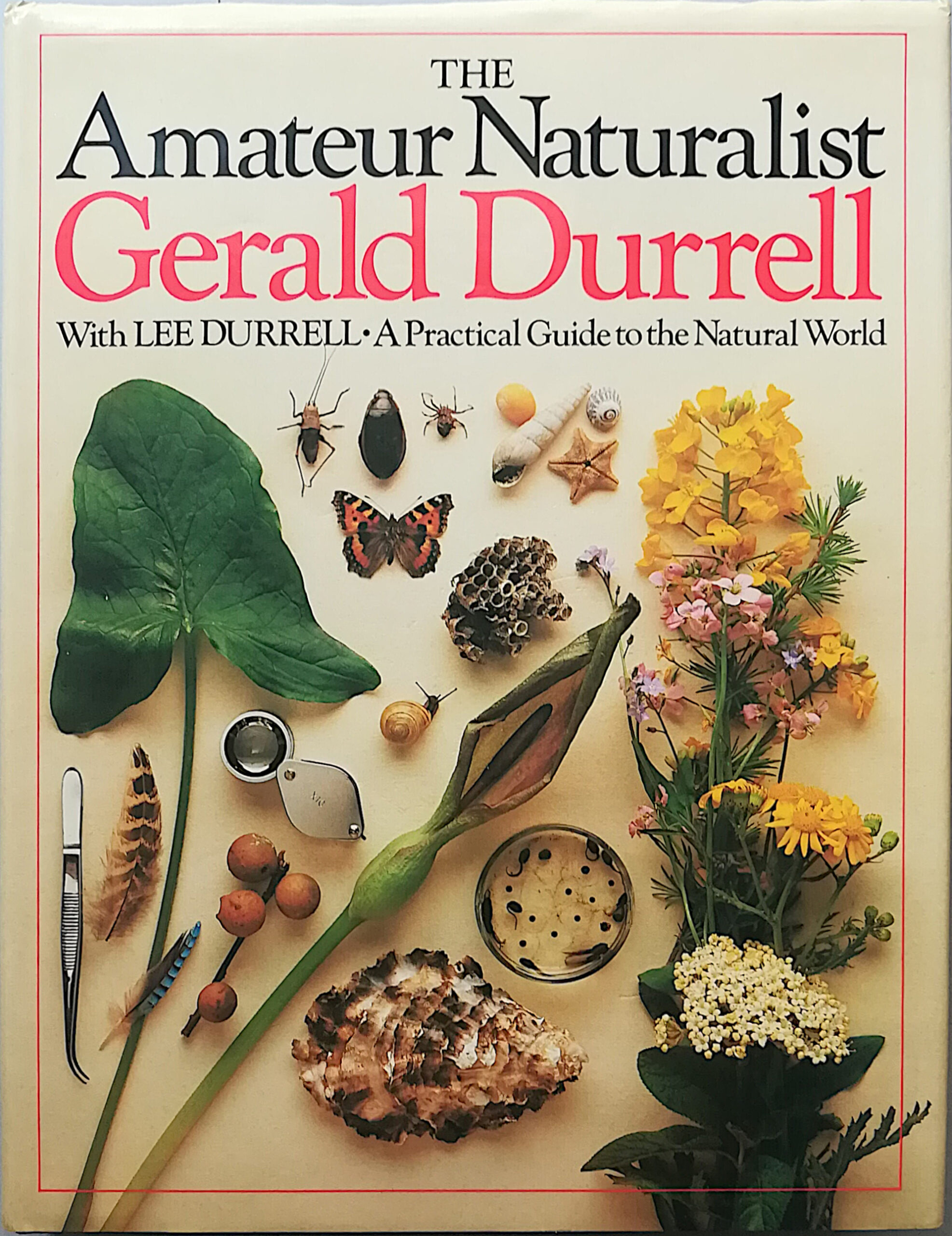 The amateur naturalist - a practical guide to the natural …