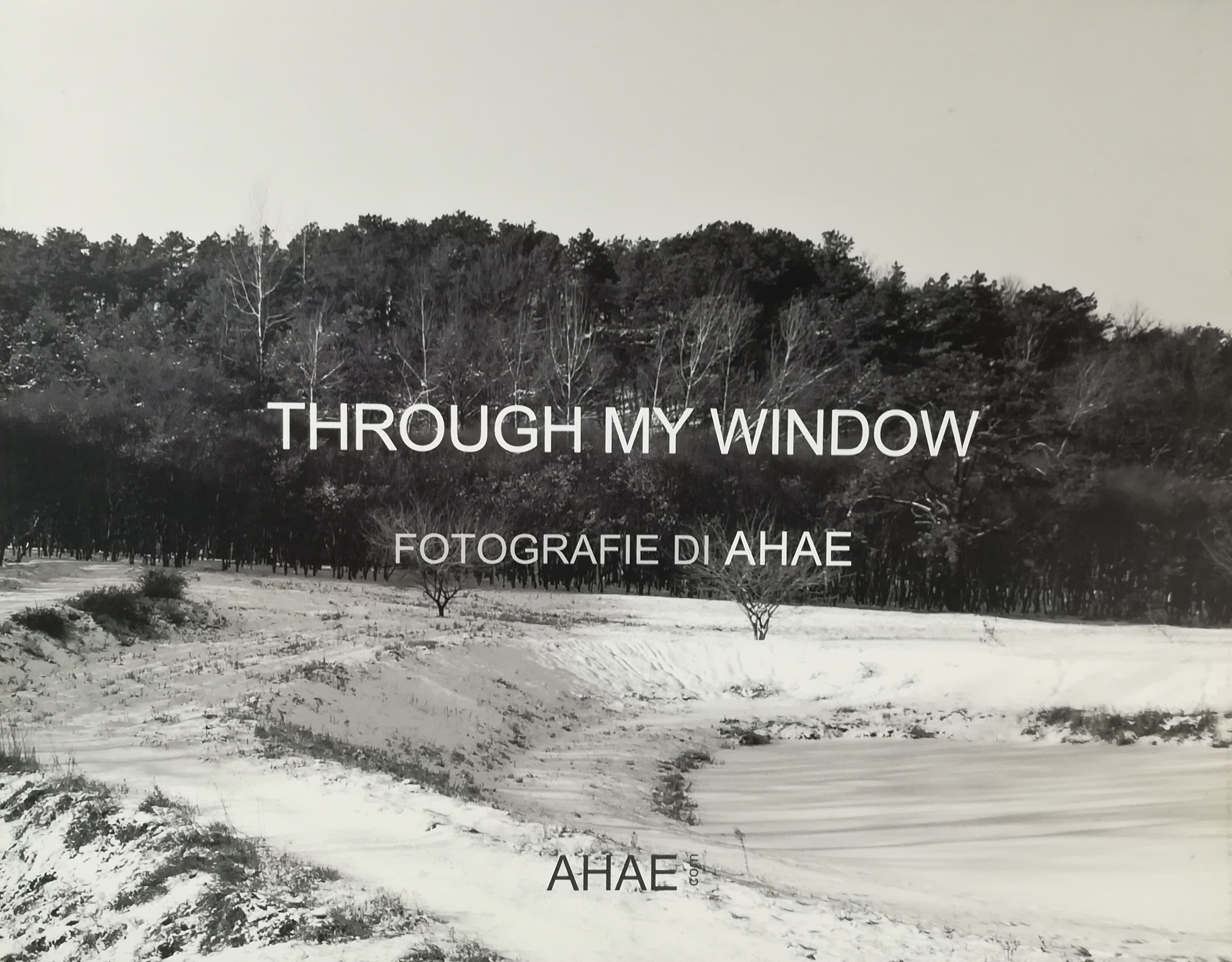 Through my window - Fotografie di Ahae