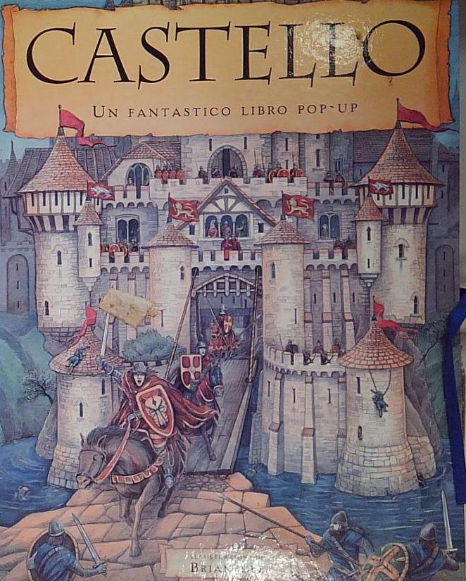 Castello. Libro pop-up. Ediz. illustrata