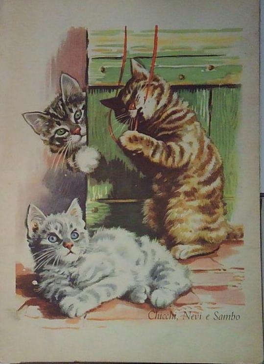 chicchi nevi e sambo