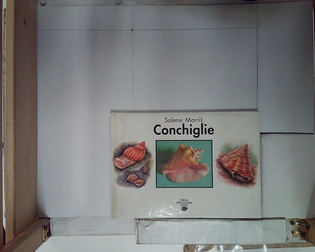 Conchiglie