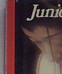 DIARIO DI UN VECCHIO PAZZO