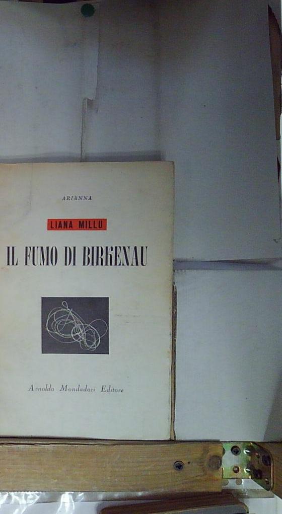 il fumo di birkenau