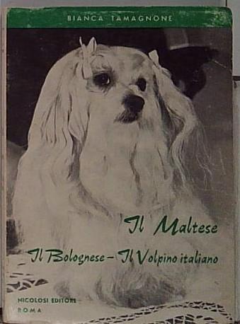 Il maltese - il bolognese - il volpino italiano