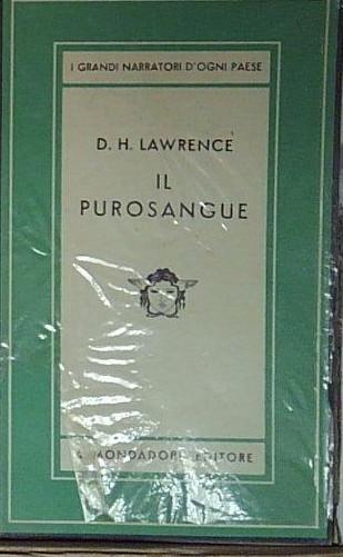 il purosangue