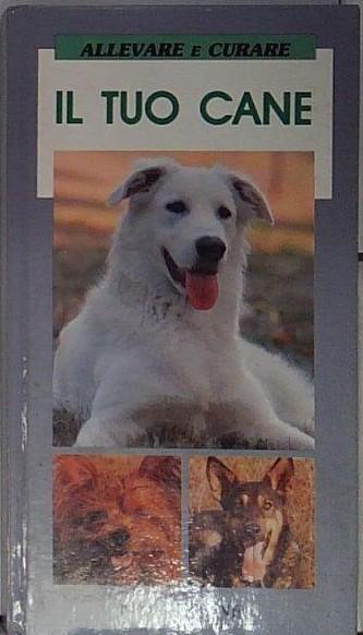 il tuo cane allevare e curare