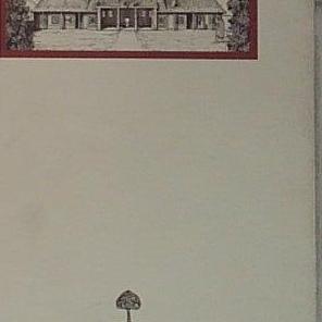 Sindrome occidentale.