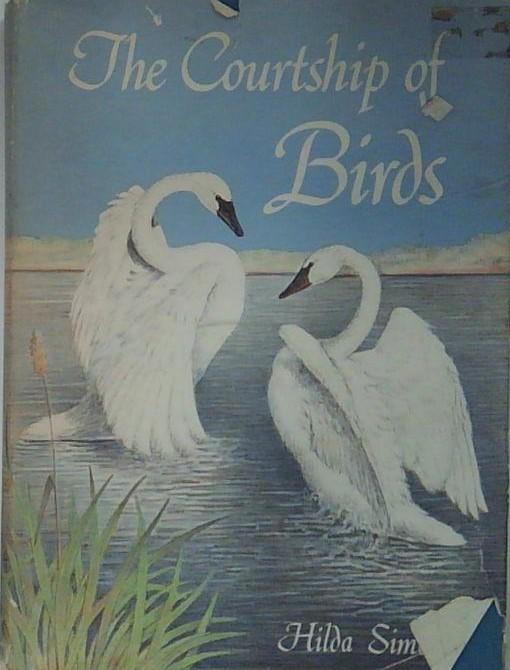 The Courtship of Birds