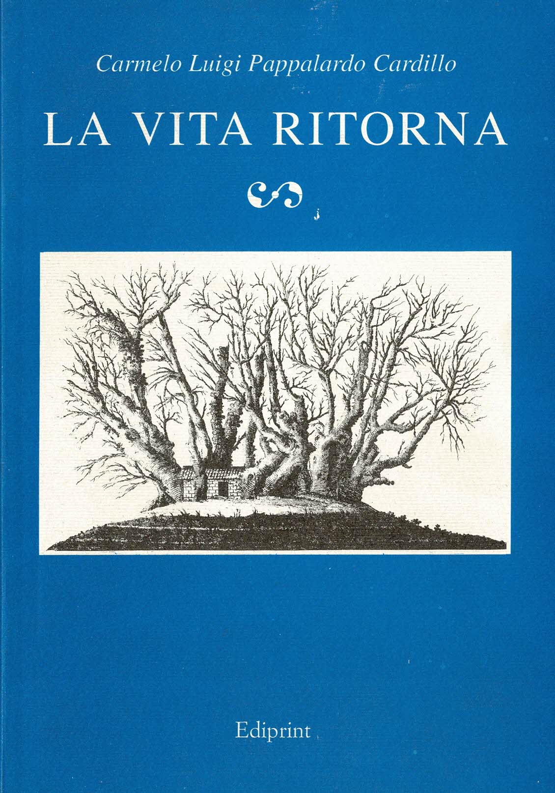 La vita ritorna Presentazione di Nino Sanfilippo Introduzione di Enzo …