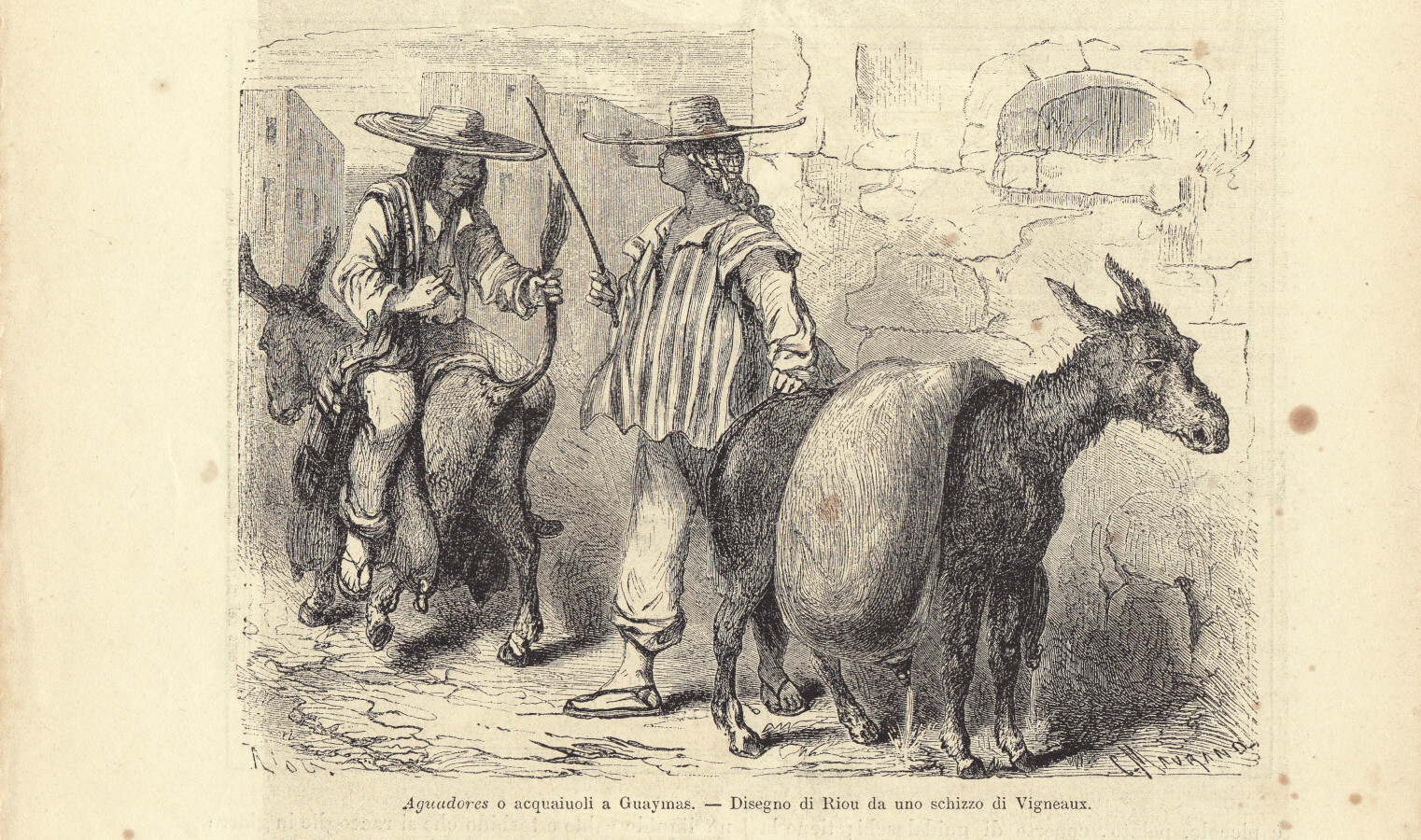 Aguadores a Guaymas/Pianta di Guaymas. Illustrazione 1864
