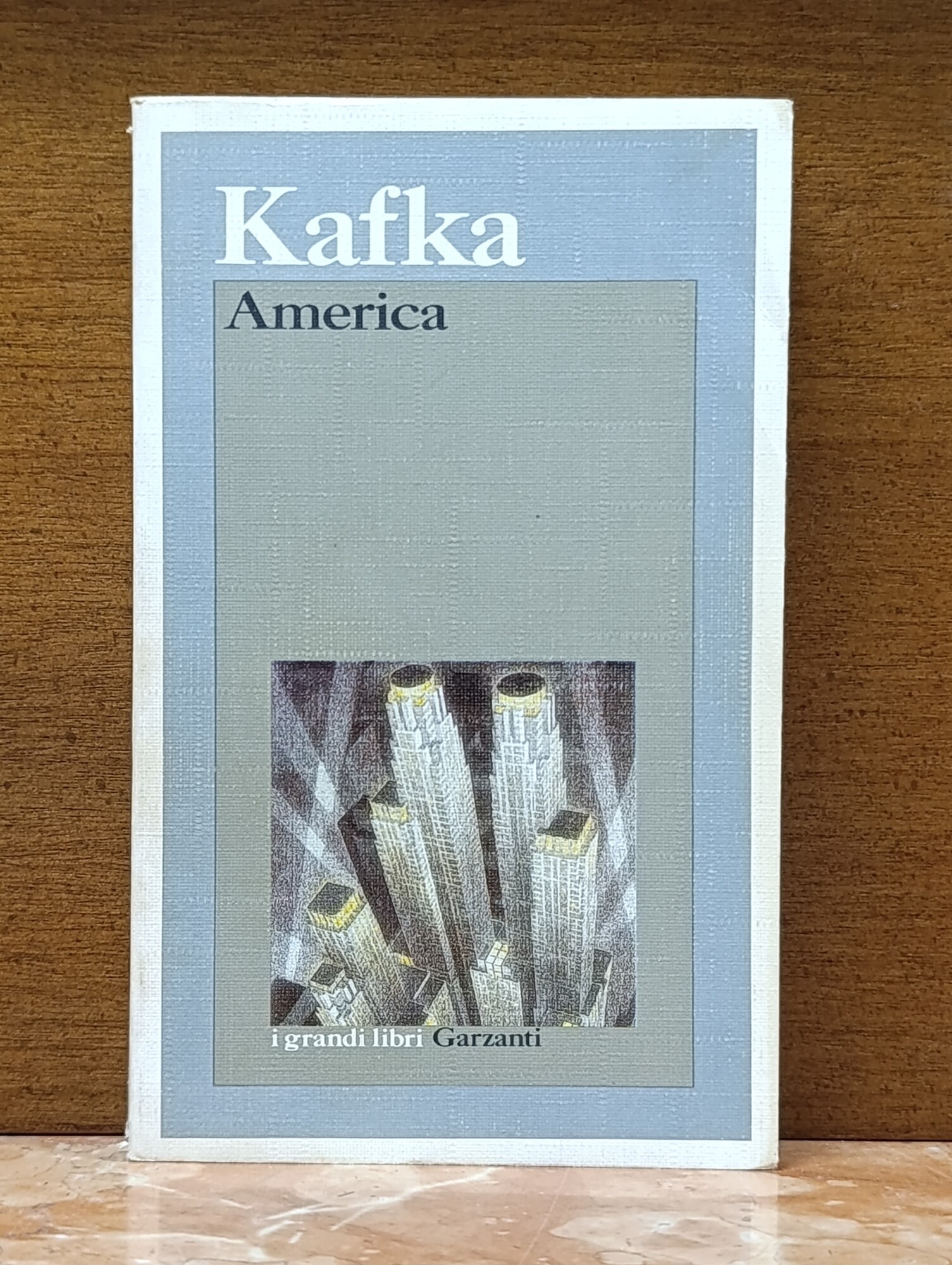 America. I Grandi Libri Garzanti