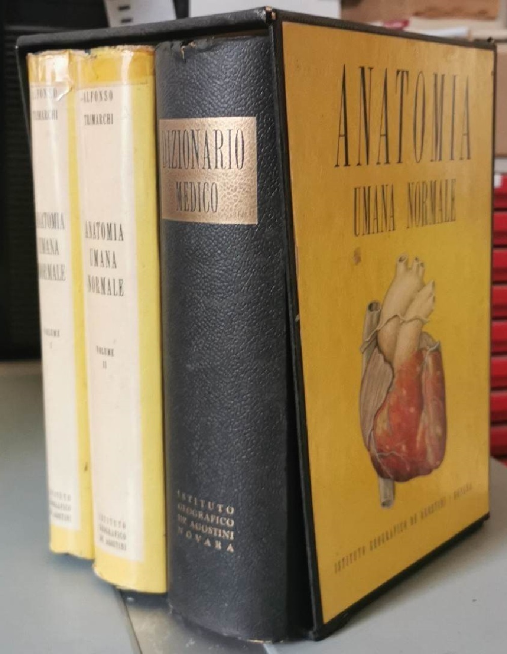 Anatomia umana normale (2 voll.); Dizionario medico