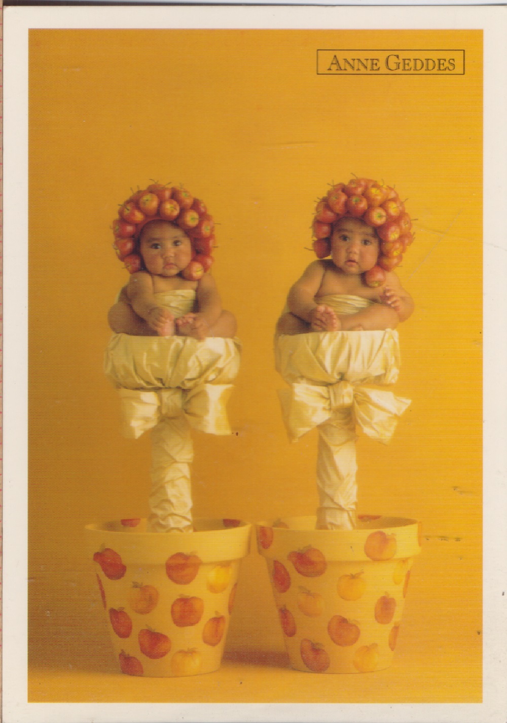 Anne Geddes. Apple topiary trees. Non viaggiata