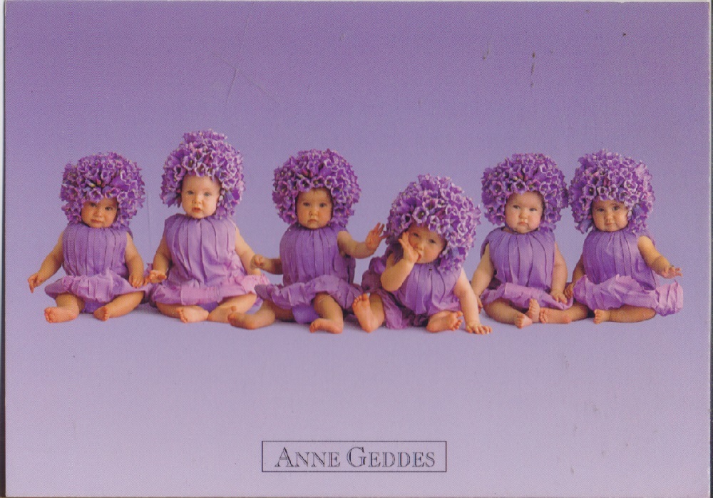 Anne Geddes. Babies in purple. Non viaggiata