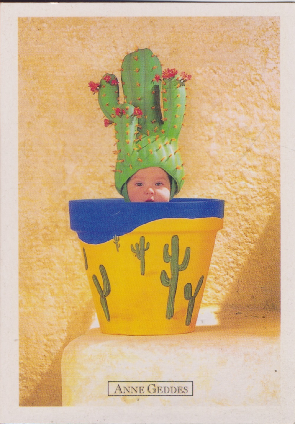Anne Geddes. Cactus pot. Non viaggiata