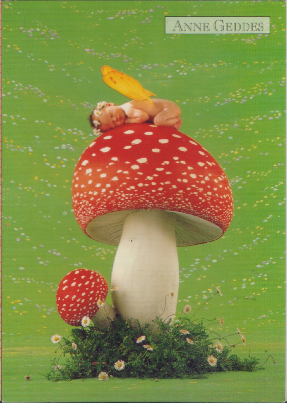 Anne Geddes. Mushroom Baby. Non viaggiata