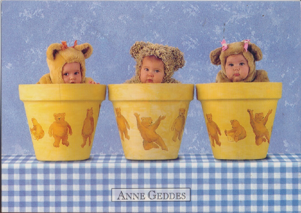 Anne Geddes. Teddy Bear Pots. Non viaggiata