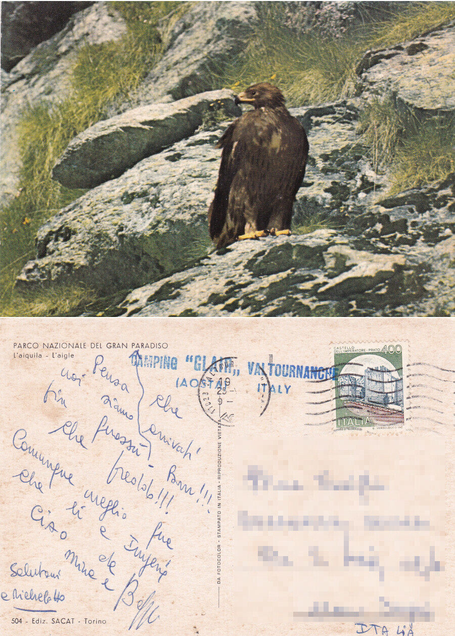 Aquila. Parco Gran Paradiso. Viaggiata