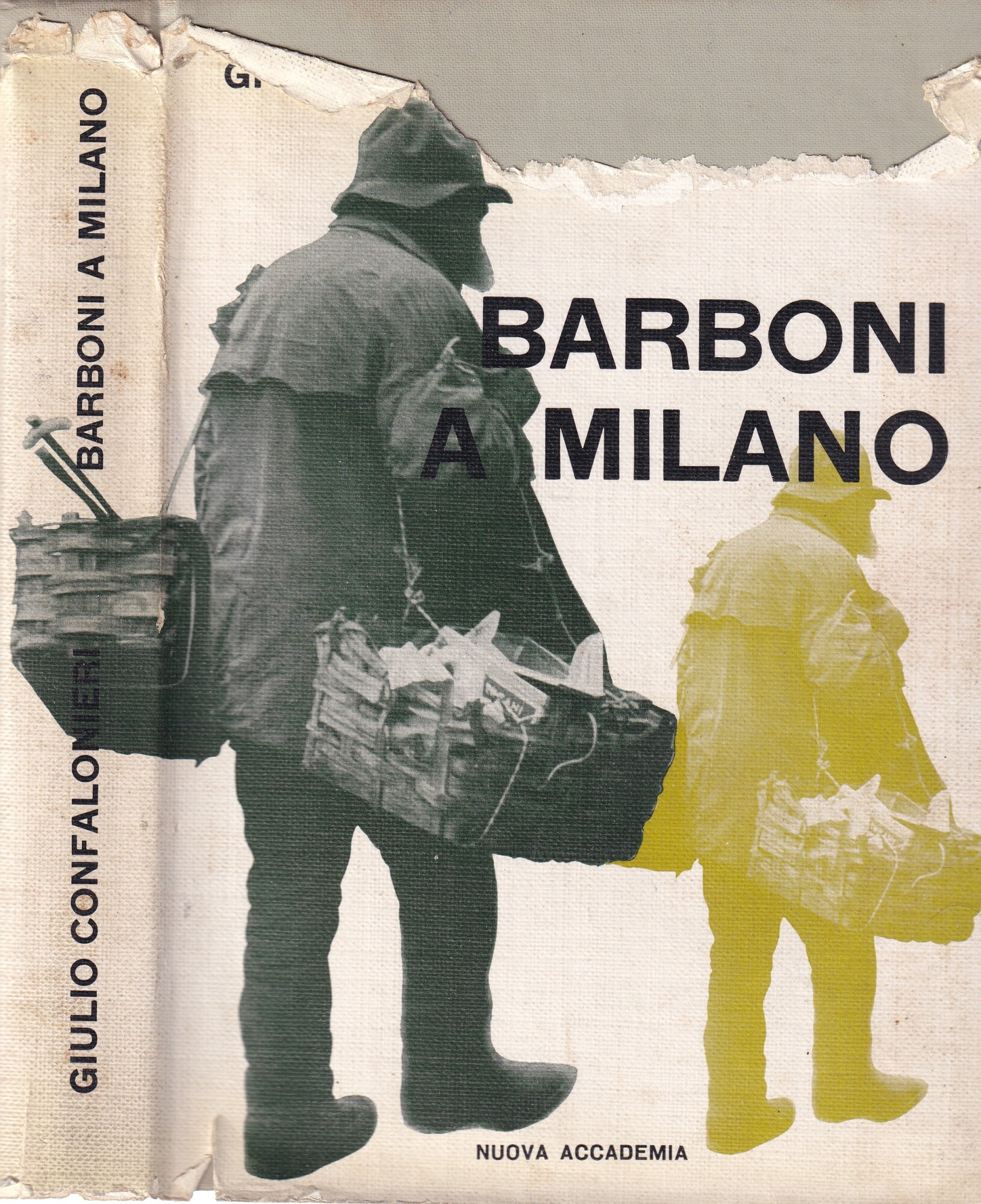 Barboni a Milano
