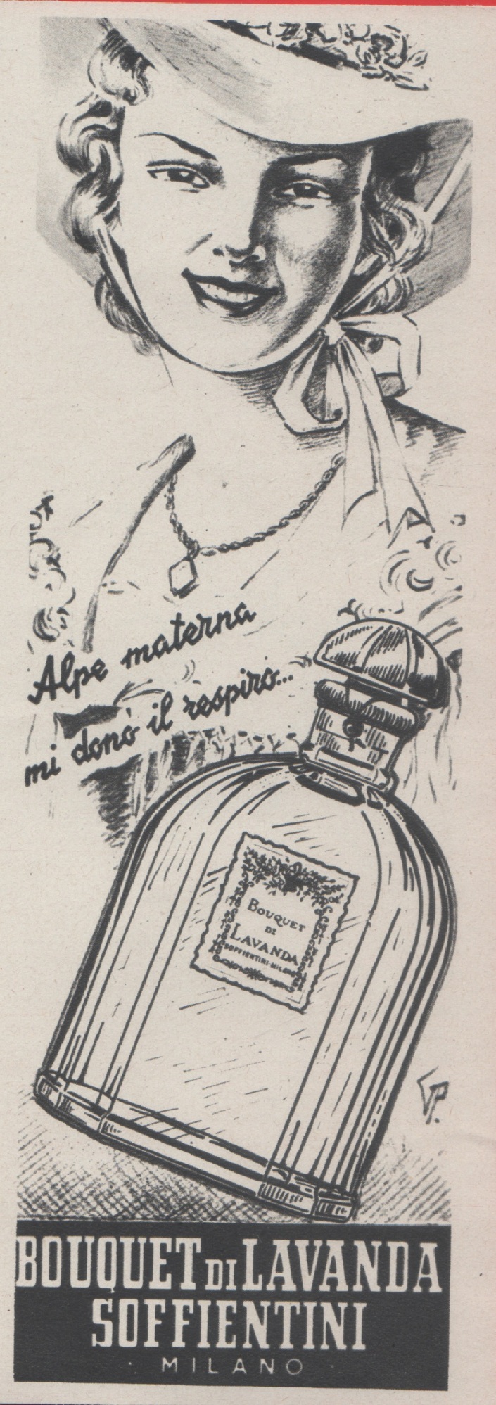 Bouquet di lavanda Soffientini. Alpe materna mi donò il respiro. …