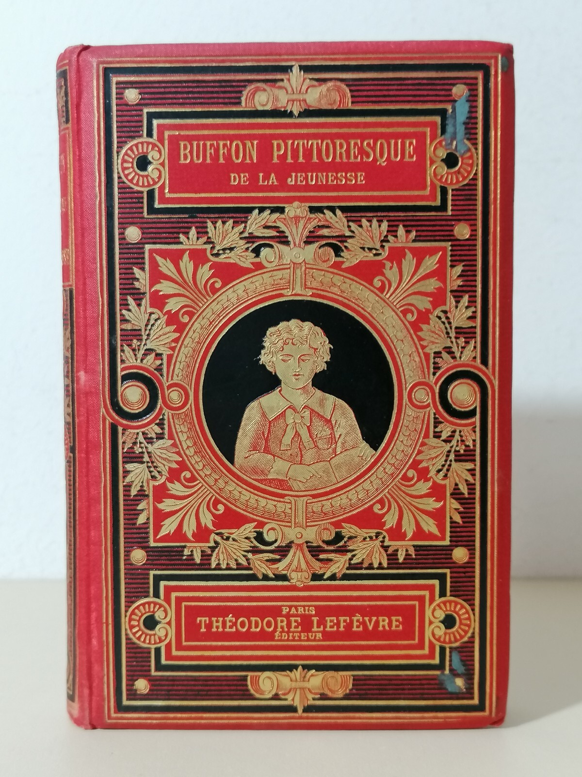 Buffon Pittoresque de la jeunesse Livre Libro in francese Lefevre …