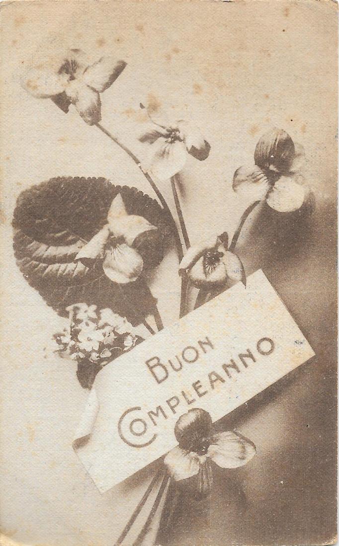 Buon compleanno, violette. Non viaggiata