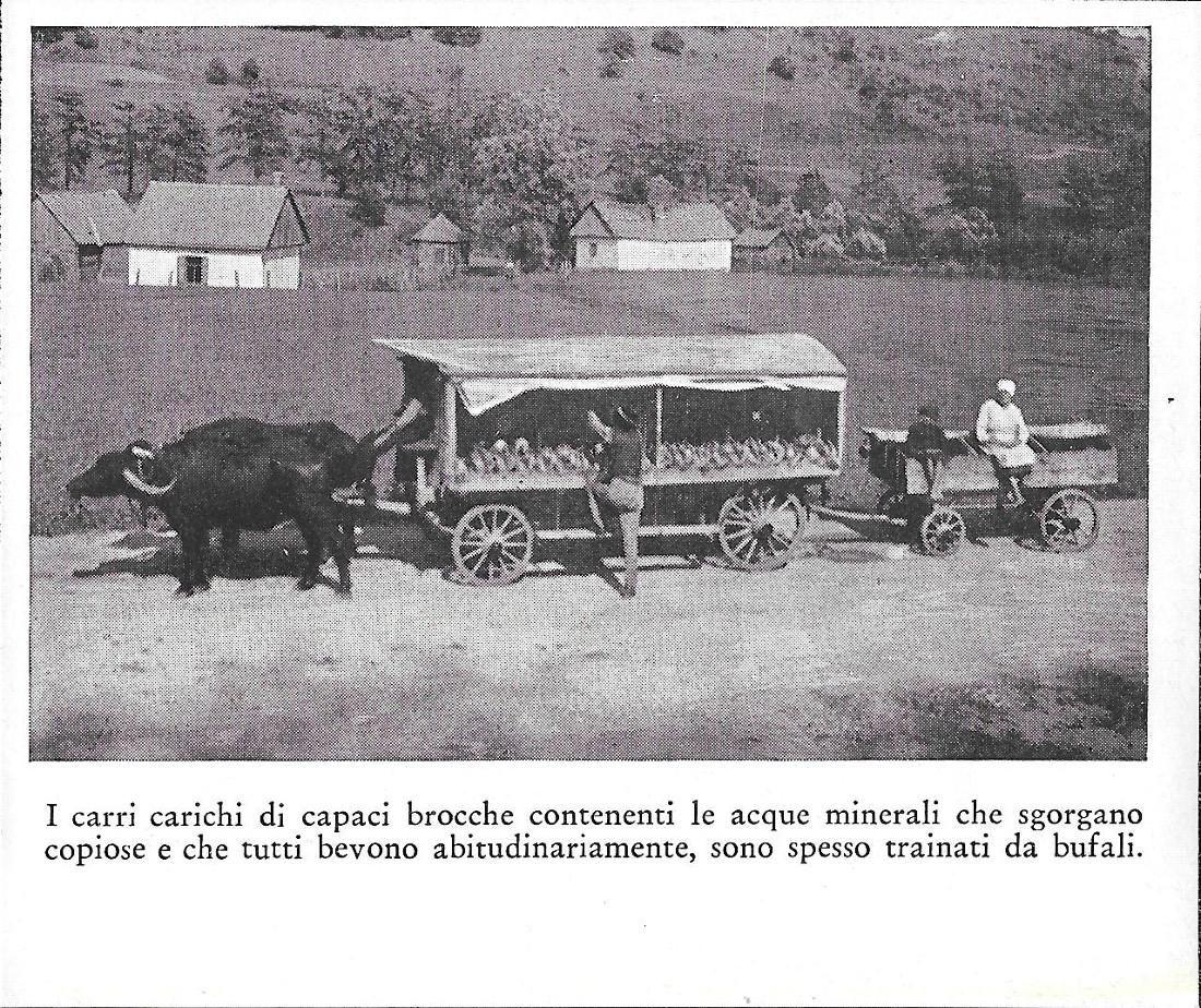 Carri carichi di capaci brocche contenenti le acque minerali. Stampa …
