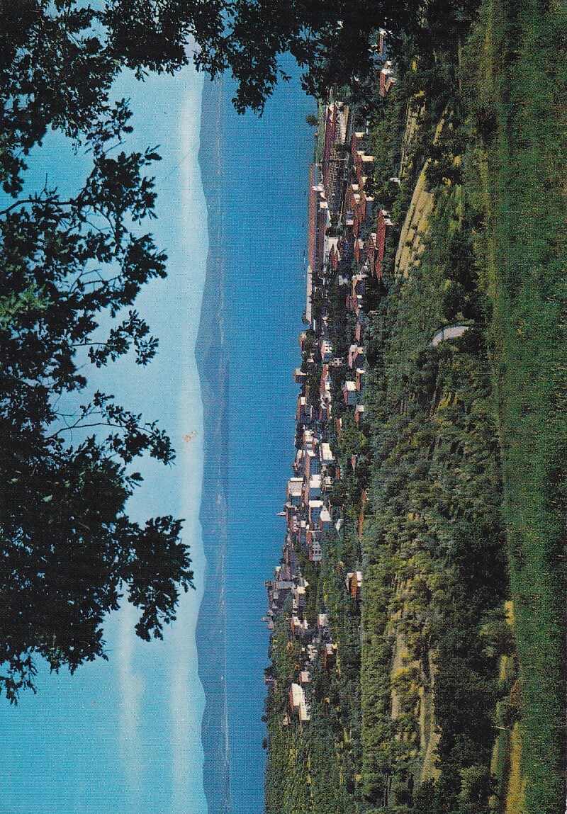 Cartolina Passignano sul Trasimeno - Panorama Perugia Viaggiata 1979